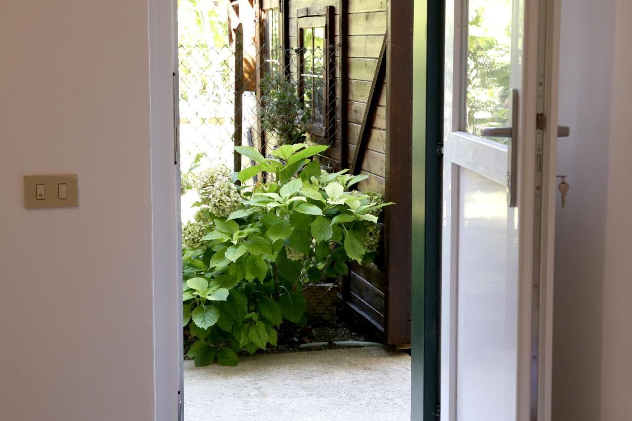 Venice Flat Ganeo エクステリア 写真